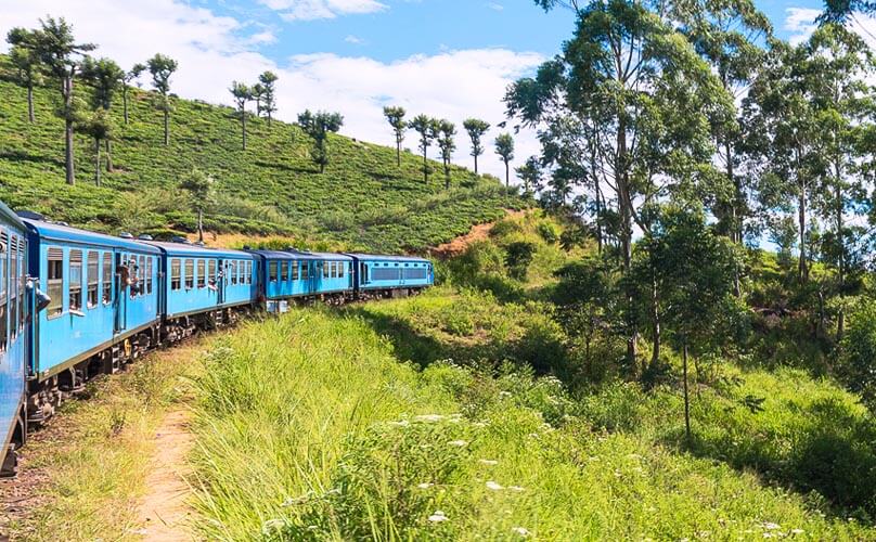 Scenic Train Ride Sri Lanka